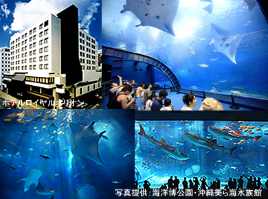 旅行パンフレット（沖縄ツーリスト主催）沖縄