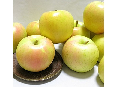 青森　弘前りんご　メジャートキ約3kg