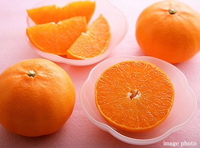 JAえひめ中央　「せとか」バラ詰　約3kg