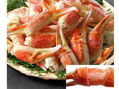 ボイル本ズワイガニの爪約1kg（40～50個）