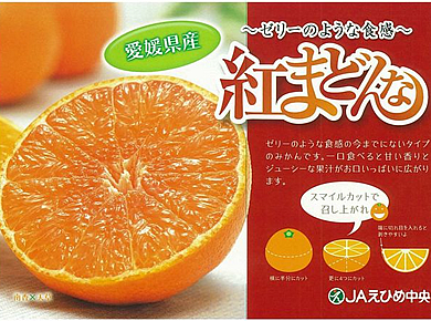 愛媛の新柑橘「紅まどんな」2.7kg