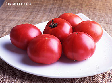 愛知県JA豊橋　フルーツトマト麗　約700g