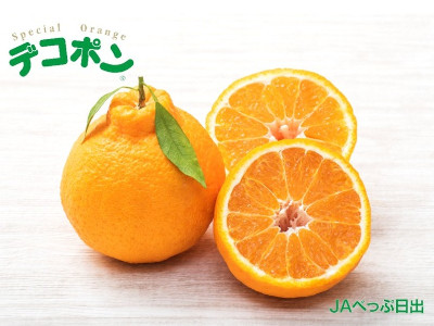 大分県別府日出産　葉付きデコポンM16　約3.2kg